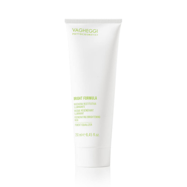 Vagheggi Bright Formula Regenerating Brightening Pigment Equalizer Mask 250ml Vagheggi Bright Formula Regenerating Brightening Pigment Equalizer Mask 250ml
